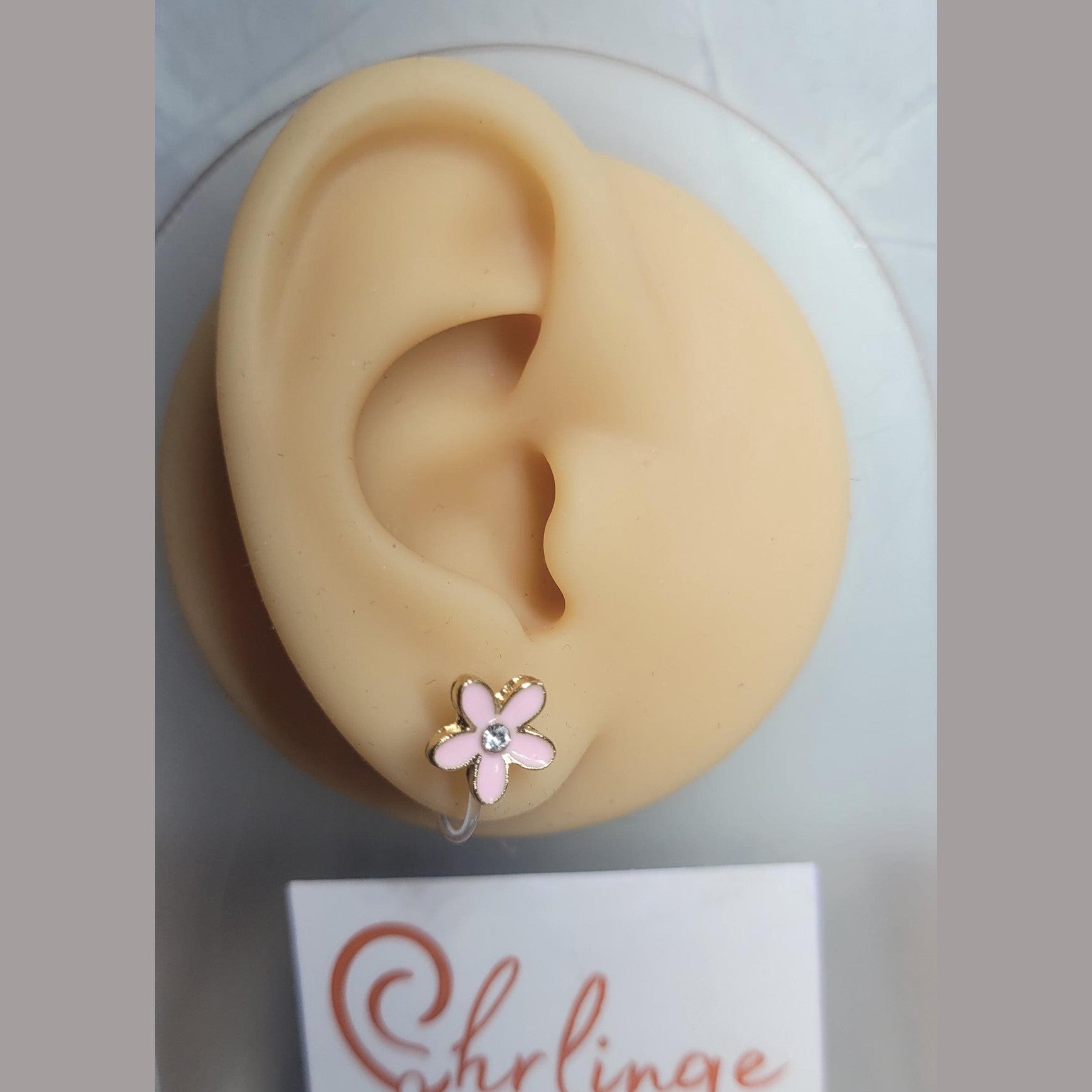Blume Rosa